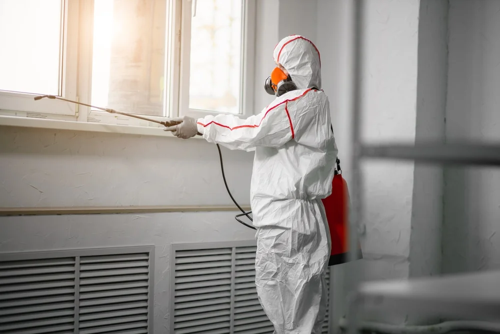 Professional mold remediation services in Pryor, OK